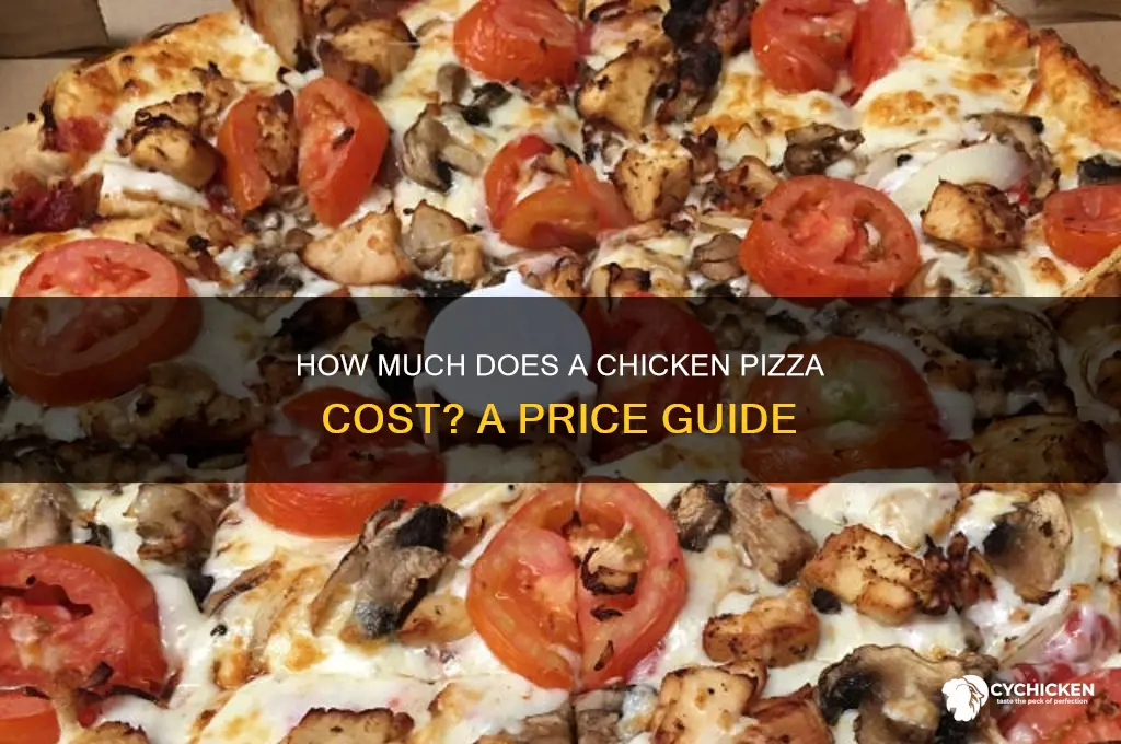 what is the price of chicken pizza