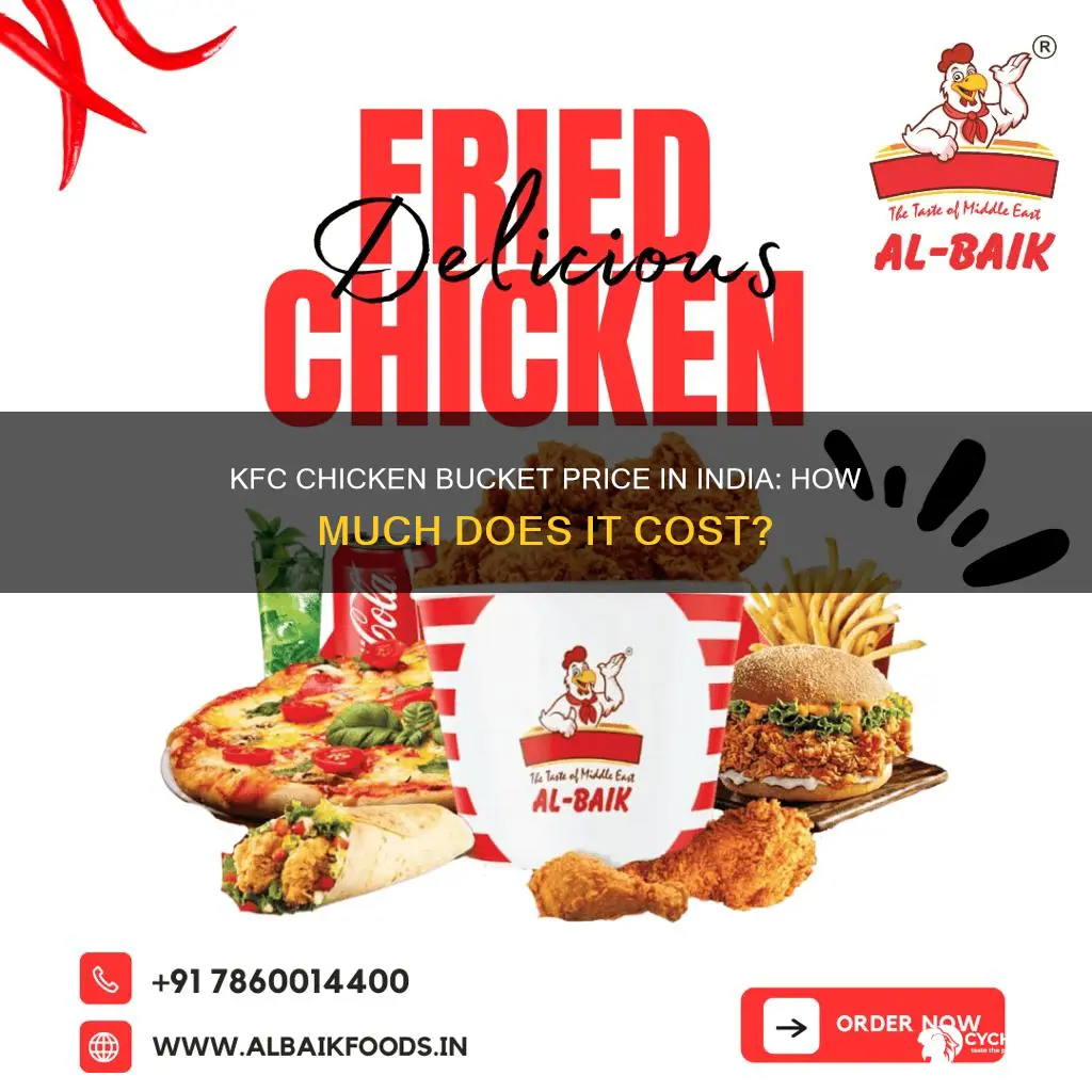 what is the price of kfc chicken bucket in india