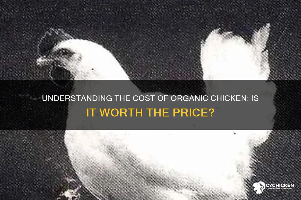what is the price of organic chicken