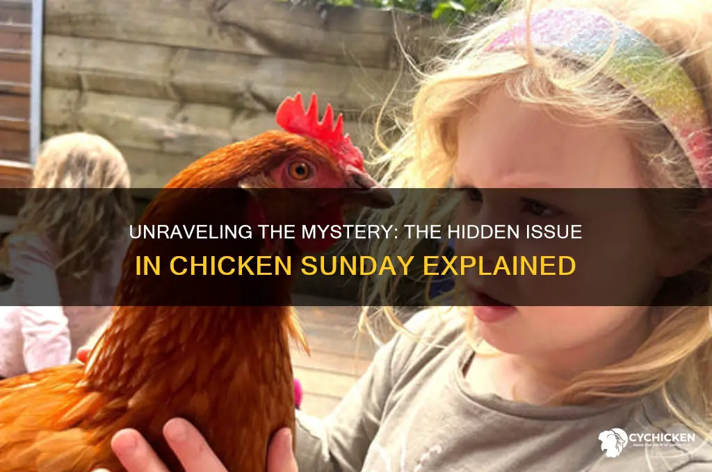 what is the problem in chicken sunday