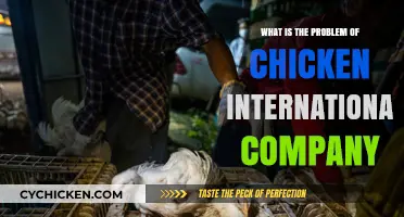 Chicken International Company's Struggles: Unraveling the Core Business Challenges