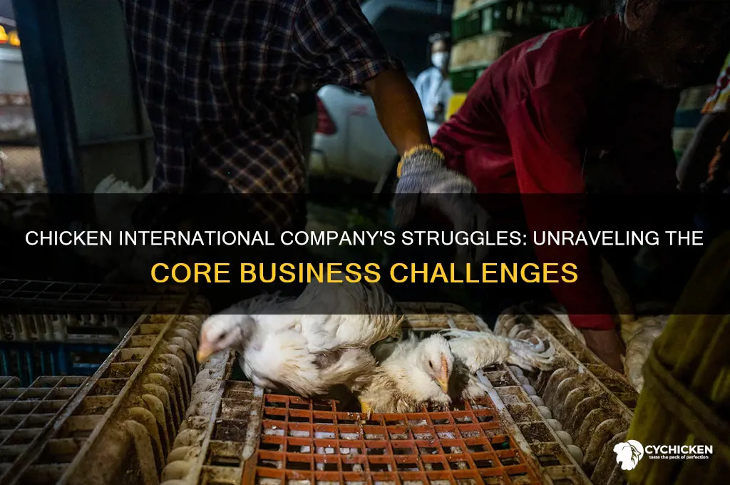 what is the problem of chicken international company