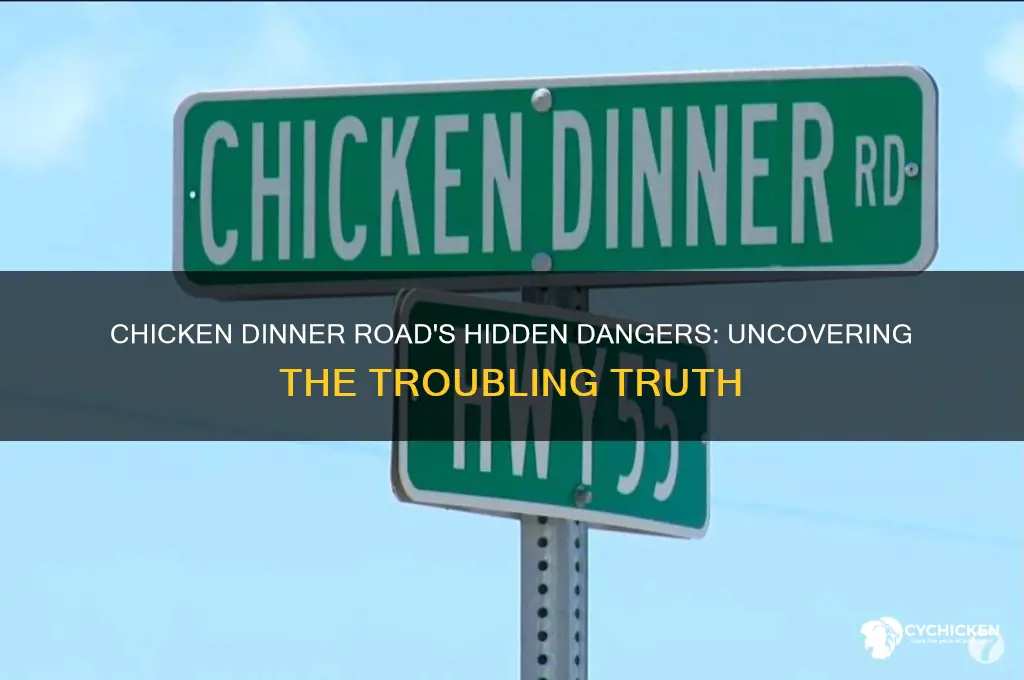 what is the problem with chicken dinner road