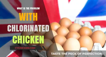 Chlorinated Chicken: Uncovering Health, Environmental, and Ethical Concerns