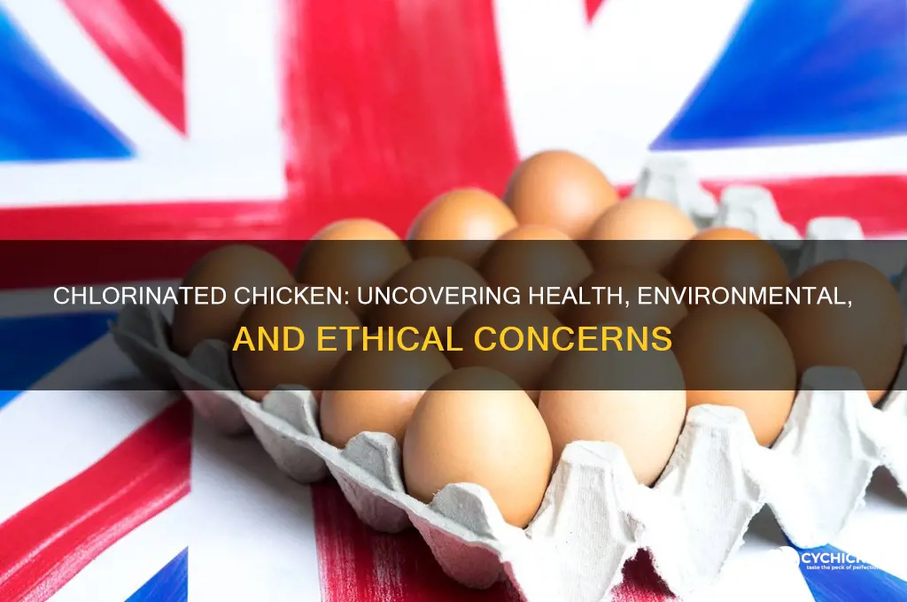 what is the problem with chlorinated chicken