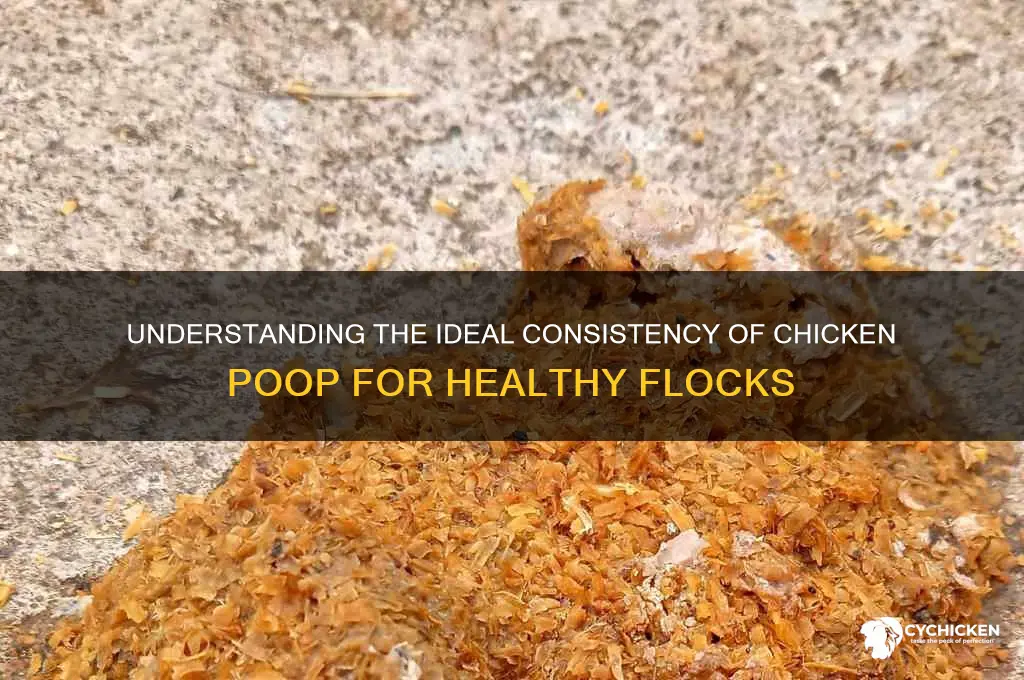 what is the proper consistency of chicken poop