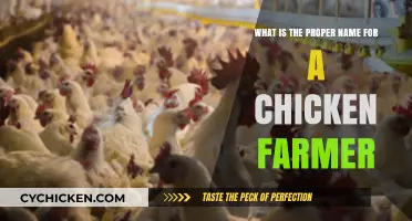 Chicken Farmers: What's in a Name?