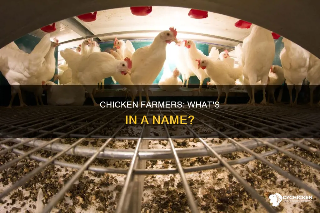 what is the proper name for a chicken farmer