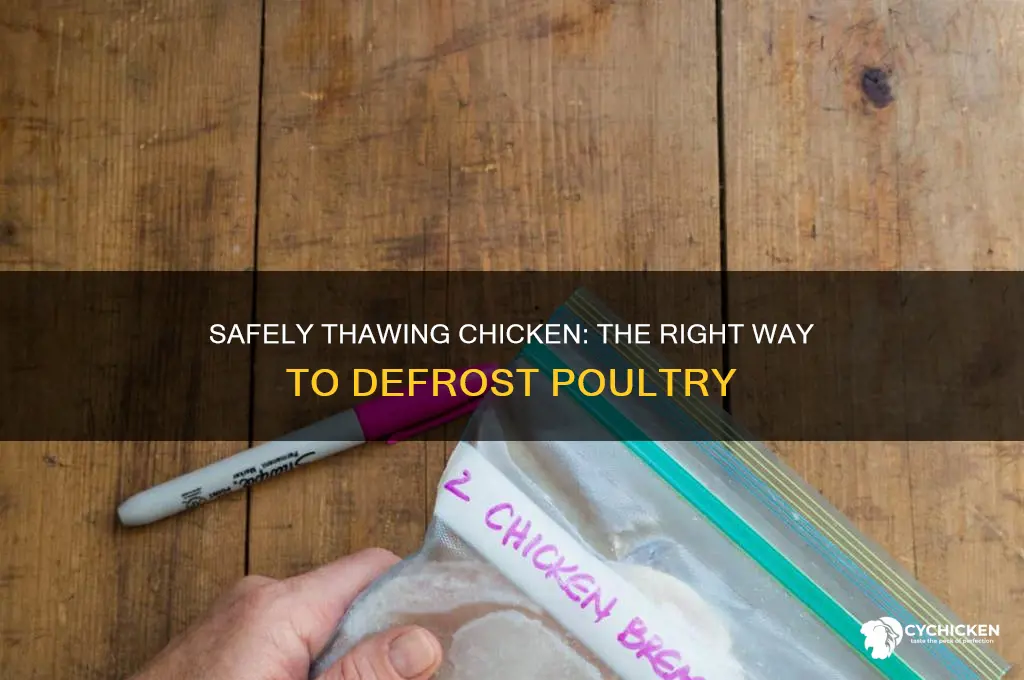 what is the proper way to thaw chicken