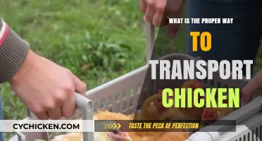 Safe Chicken Transport: Essential Tips for Proper Handling and Delivery