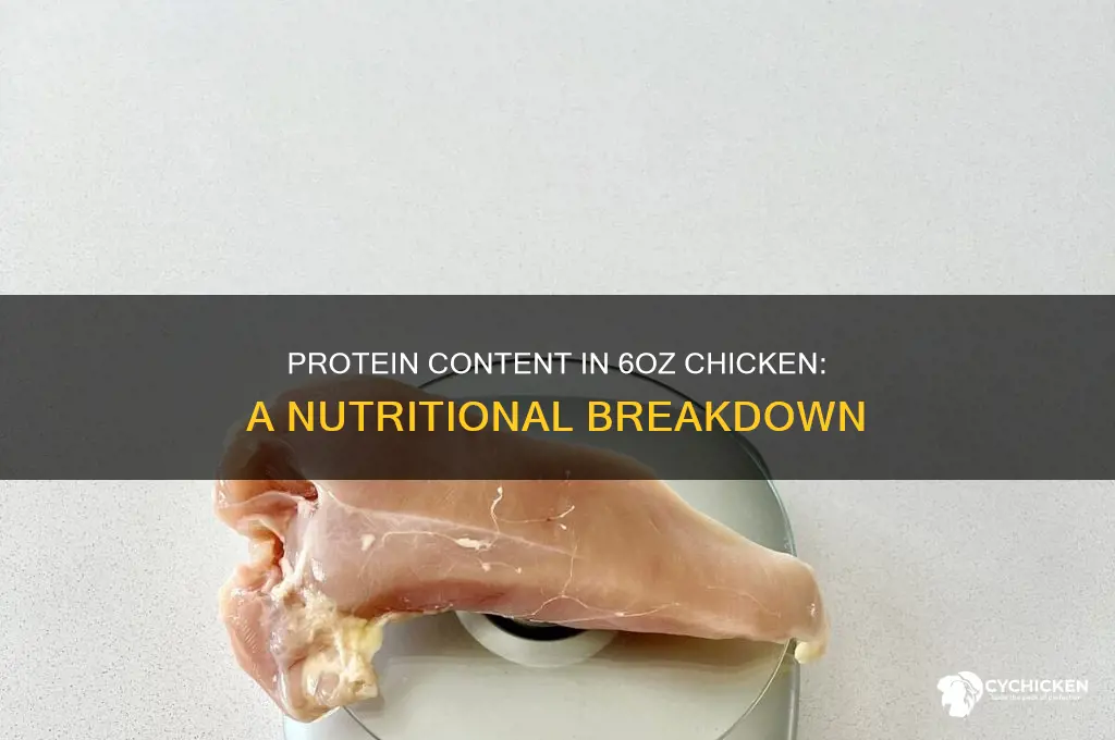 what is the protein in a 6oz chicken