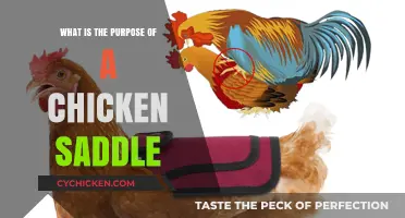 Understanding Chicken Saddles: Purpose, Benefits, and Practical Uses