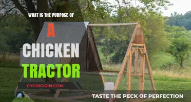 Chicken Tractors: Purpose, Benefits, and How They Enhance Poultry Care