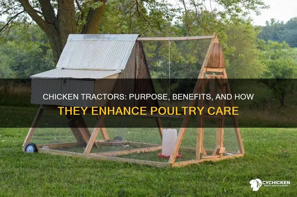 what is the purpose of a chicken tractor