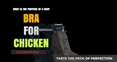 Chicken Crop Bras: Preventing Crop Impaction and Aiding Digestion