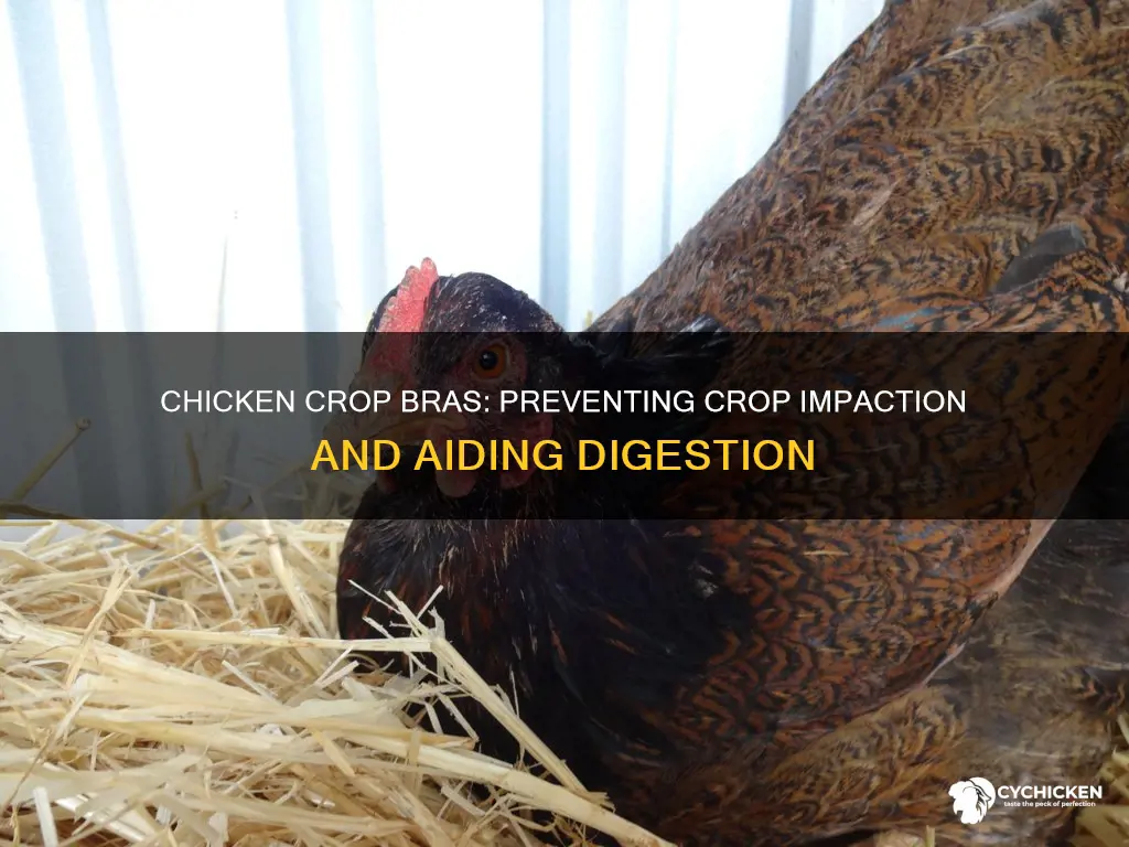 what is the purpose of a crop bra for chicken