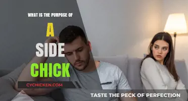 Understanding the Role and Intentions of a Side Chick in Relationships