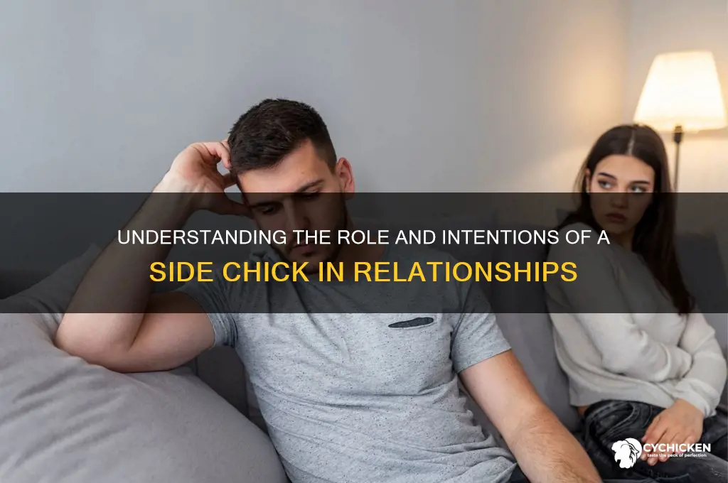 what is the purpose of a side chick
