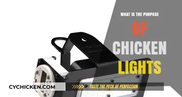 Understanding Chicken Lights: Purpose, Benefits, and Optimal Use for Poultry