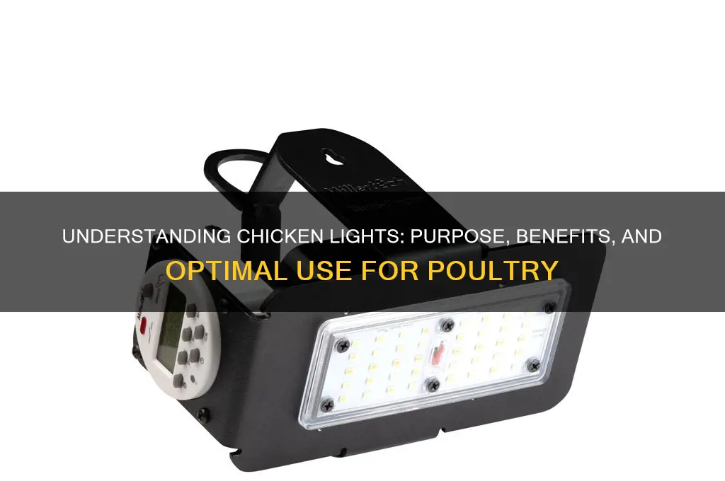 what is the purpose of chicken lights