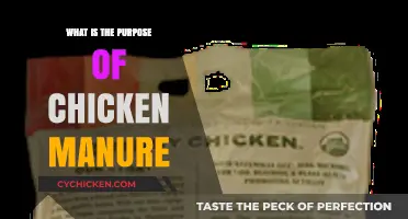 Unlocking the Benefits: The Purpose of Chicken Manure Explained