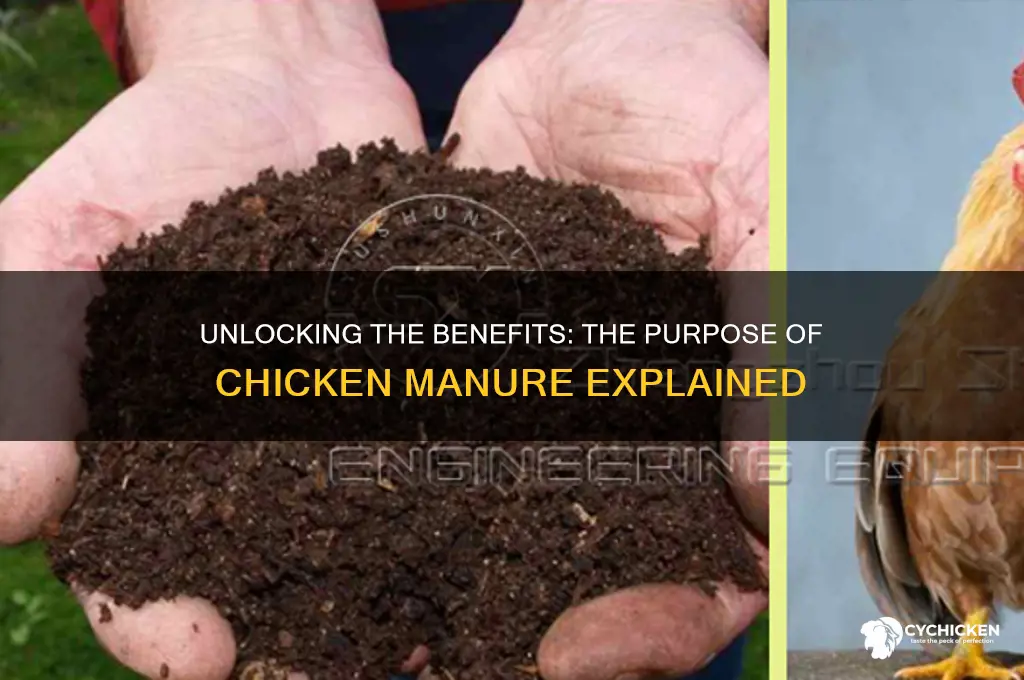 what is the purpose of chicken manure