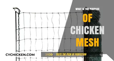 Understanding Chicken Mesh: Essential Uses and Benefits for Poultry Care