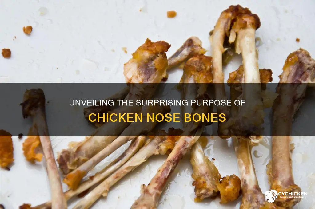 what is the purpose of chicken nose bones