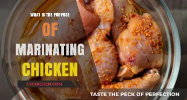 Unlocking Flavor: The Purpose of Marinating Chicken Explained