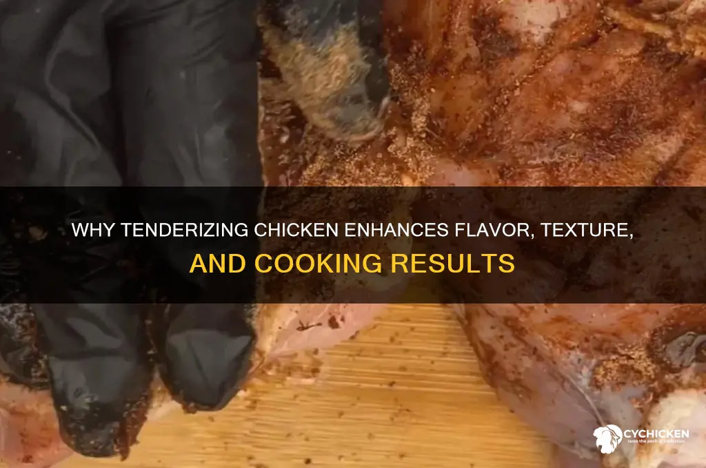 what is the purpose of tenderizing chicken