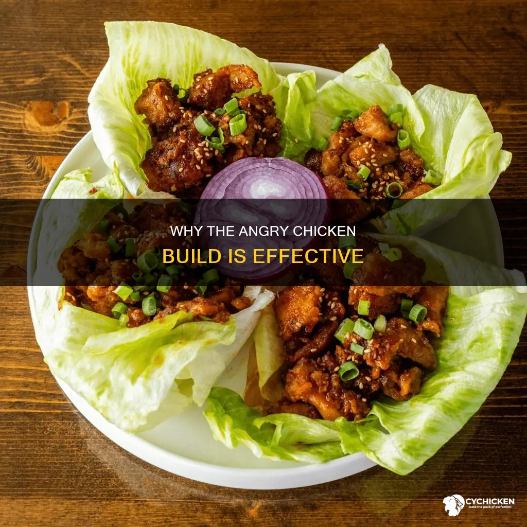 what is the purpose of the angry chicken build