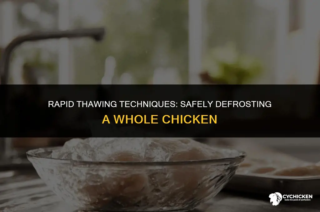 what is the quickest way to thaw a whole chicken