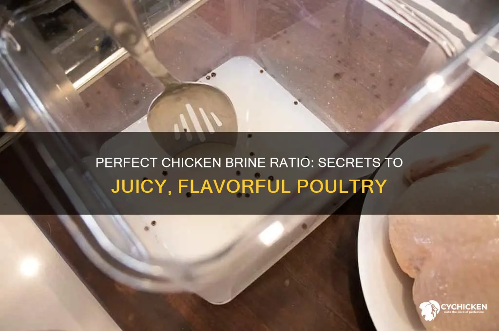 what is the ratio for a chicken brine