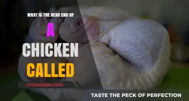 Where Do Chicken Tails Go?