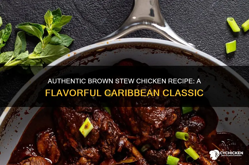 what is the recipe for brown stew chicken