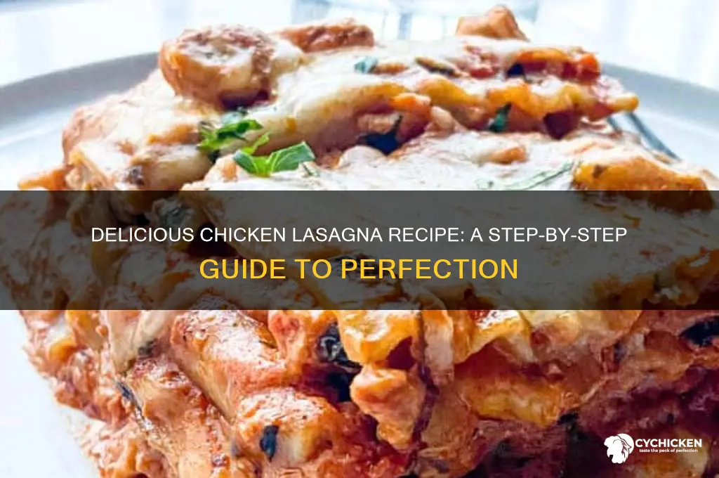 what is the recipe for chicken lasagna