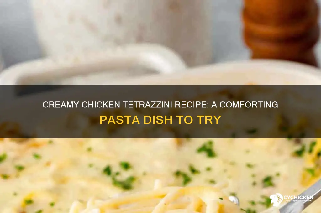 what is the recipe for chicken tetrazzini