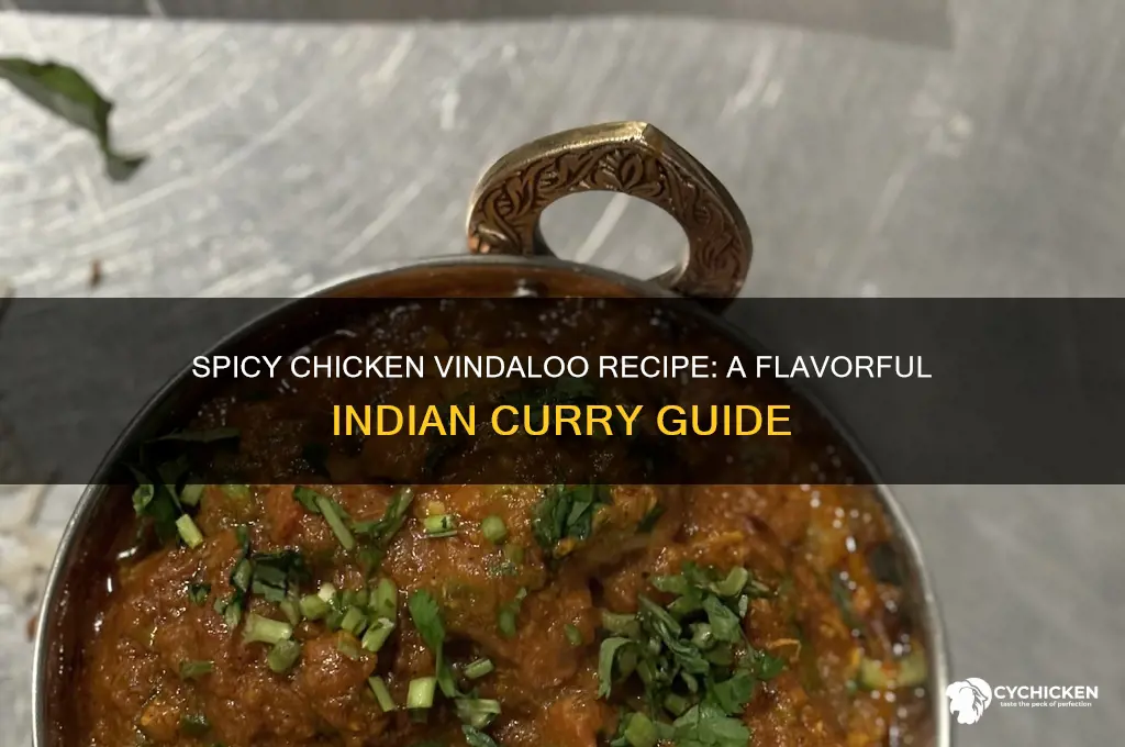 what is the recipe for chicken vindaloo
