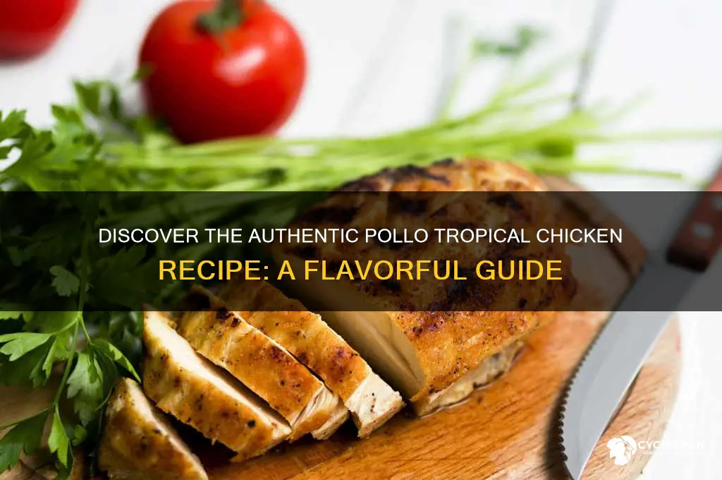 what is the recipe for pollo tropical chicken
