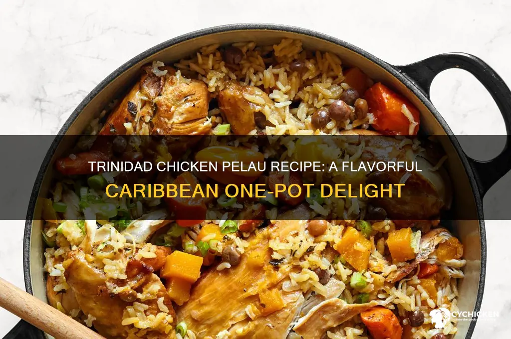 what is the recipe of chicken pelau trinidad