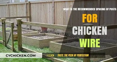 Chicken Wire Spacing: How Far Apart Should Posts Be?