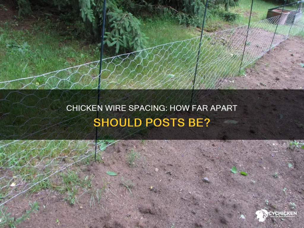 what is the recommended spacing of posts for chicken wire