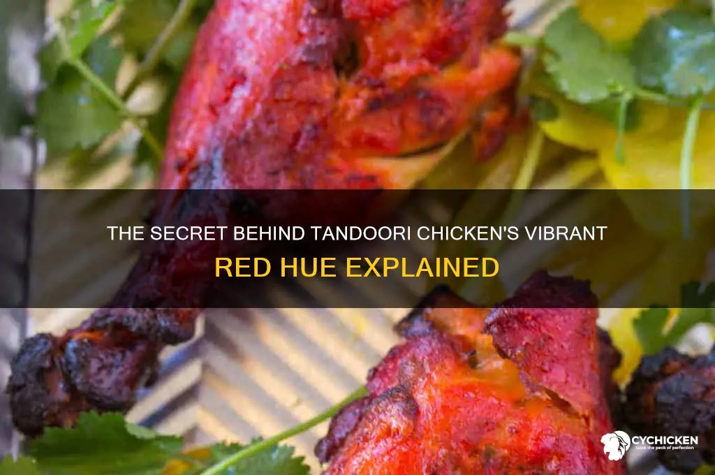what is the red color in tandoori chicken