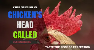 The Red Crown of a Chicken's Glory