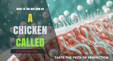 Chicken Anatomy: What's That Red Skin Called?
