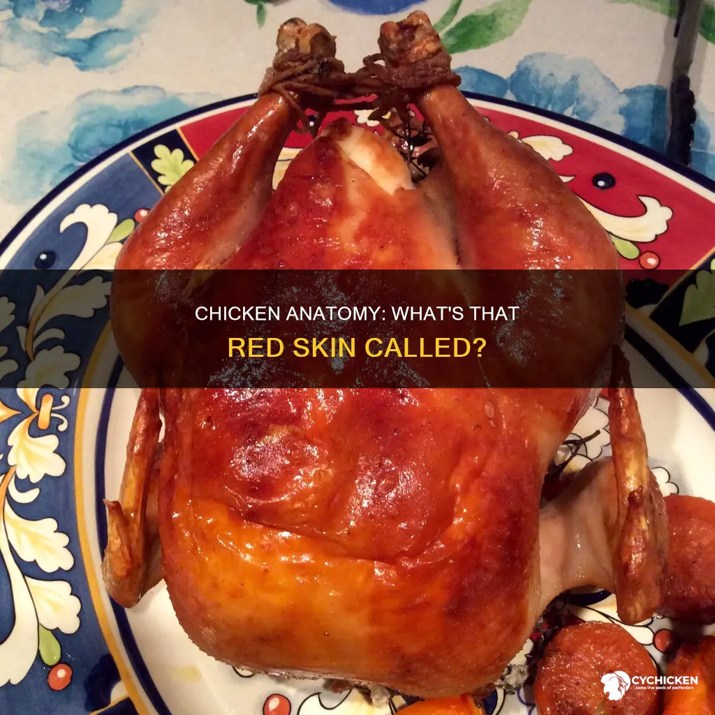 what is the red skin on a chicken called