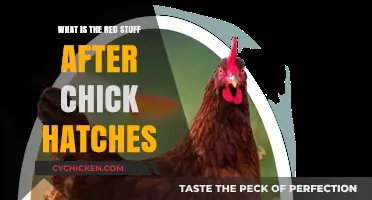 Unveiling the Mystery: What's the Red Substance After a Chick Hatches?