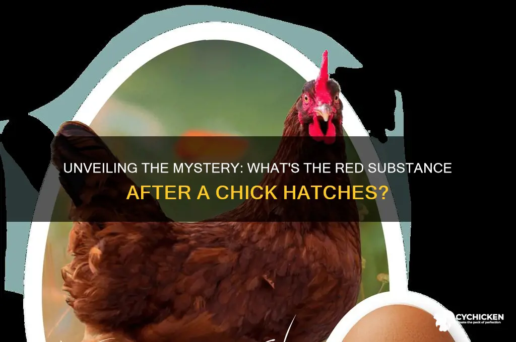 what is the red stuff after chick hatches