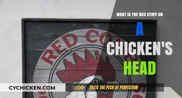 What's the Red Wattle on a Chicken's Head?