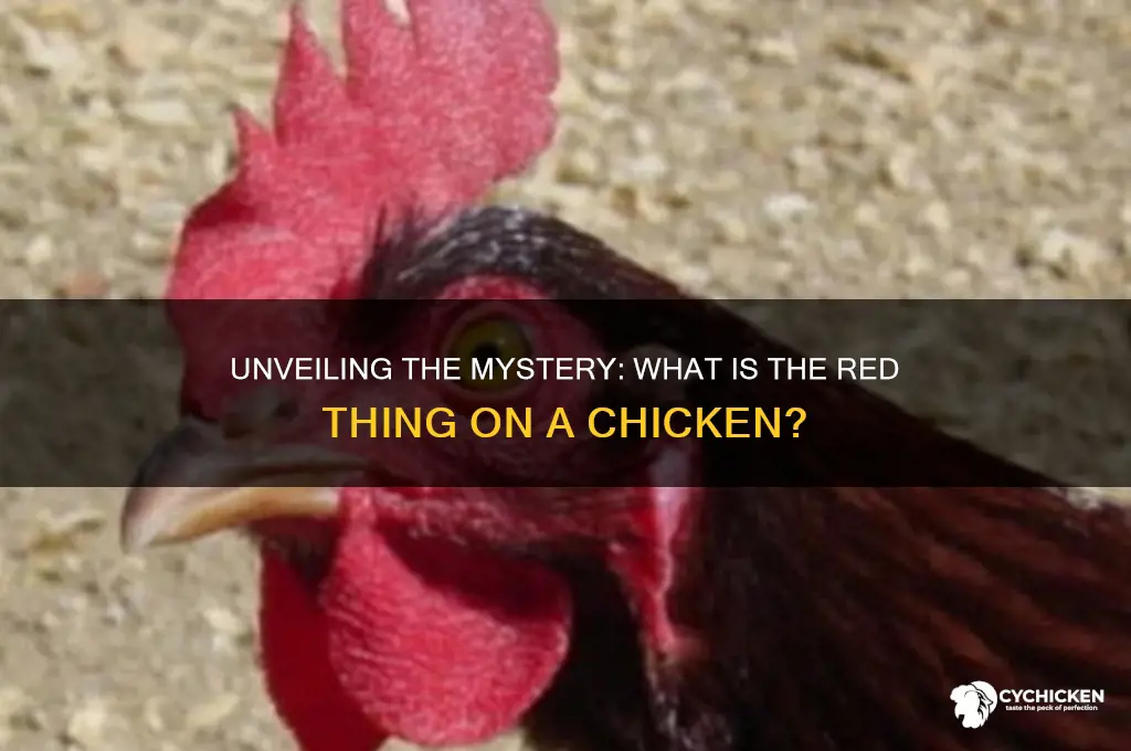 what is the red thing on a chicken